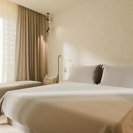 Taro Cruz Santa-Cruz de Ténérife